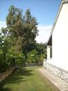 Lemontree Apartments