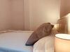 Apartamento Bella House Triana