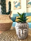 Apartamento Aqua - Tropical Dream - Oceanfront