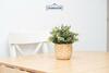 Apartamento Muro Alto