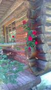 Agroturismo Amig�wka