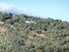 Villa La Molina Del Olivar - Peaceful Location