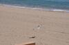 Apartamento 1236 Carla Mar 50m Playa