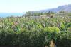 Finca Paraiso - Ganzj�hrig Geheizter Pool