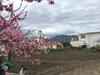 La Casa Rural De Paco Y Ana