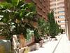 Apartamento Acv - Torremar-2� Linea Planta 7 Frontal 2