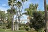 Apartamento Las Palmas 15c Oasis Properties
