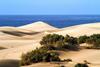 Apartamento Cozy Bungalow Maspalomas Oasis