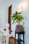 Villa 10 Luxe By Lirios Village Marbella