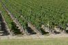 Villa La R�sidence "les Grands Vignobles"
