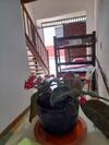 Apartaestudio Cerca A Parque Zapatoca