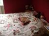 Bed & Breakfast Les Volets Bleus Alsace Vosges
