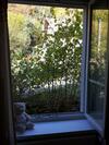 Bed & Breakfast Les Volets Bleus Alsace Vosges