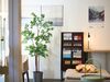 Hotel Tabist Ginza