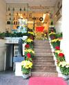 Hanz Gold Hotel