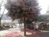 Bed & Breakfast Il Castello