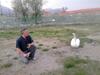 Bed & Breakfast Il Castello