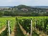 Bed & Breakfast Le Bailli De Montsaugeon