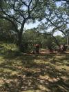The Palette Pad At Scurlock Farms