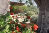 Hotel Finca Son Marimon - Adults Only