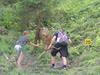 Agroturismo Pension Forsthof