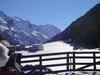 Apart Alpinea