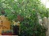 Bed & Breakfast Hotel Boutique Casa Flor De Mayo