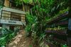 Rupa Rupa High Jungle Eco B&B
