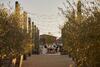 Hotel Stanly Ranch, Auberge Collection