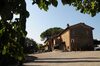 Le More E I Gelsomini