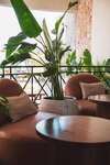 Hotel Ananea Hurghada ? Adults Only