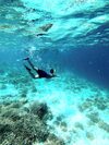 Coralia Boutique Hotel Cozumel