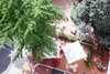 Hotel Auto Park