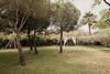 Hotel Palas Pineda