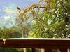 Hotel Finca El Cielo