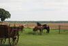 Bed & Breakfast La Grange De Boulaines