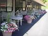 Capricorn Motel Royale 1000 Islands