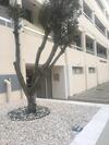 Marina Apartments 211
