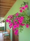 Agroturismo Casas Rurales Prieto