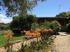 Agroturismo La Cerca Del Alcornoque