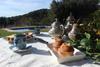 Agroturismo Can Sis�