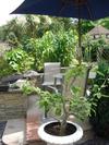 Crossways House Bed And Breakfast