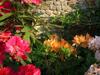 Bed & Breakfast Le Logis Du Stang