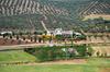 Agroturismo Cortijo Sabila