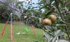Agroturismo Fuente De G�elo