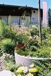 Apartamento Dorfkrug Appartements