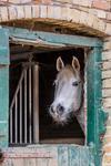 G�te De La Ferme Des Crins Blancs