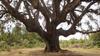 Agroturismo Casa Rural Pati�o