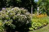 Bed & Breakfast Sea Meadow Inn