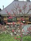 Agroturismo Furumaya House